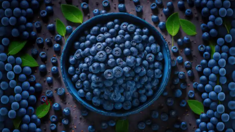 Blueberry a brain superfood