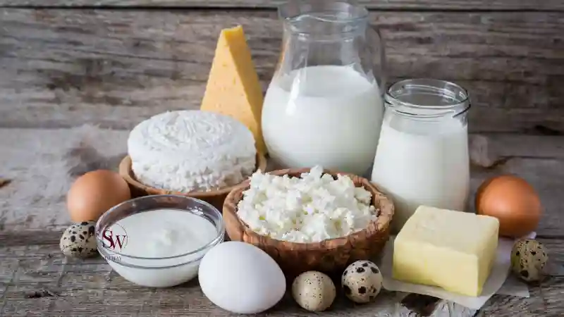 Low-Fat Dairy and Women's Fertility