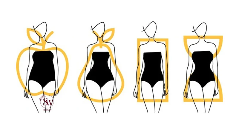 Common Body Shapes