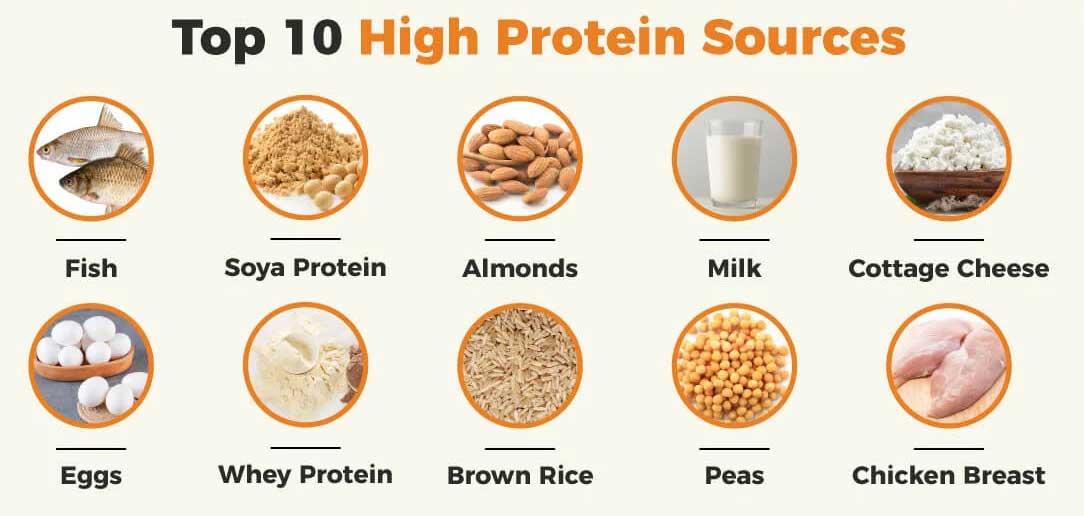 high-protein-sources