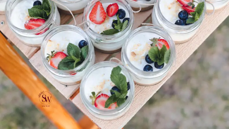 Greek Yogurt Cups as Road Trip Snacks