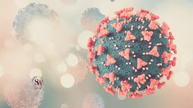 Everything about HPV