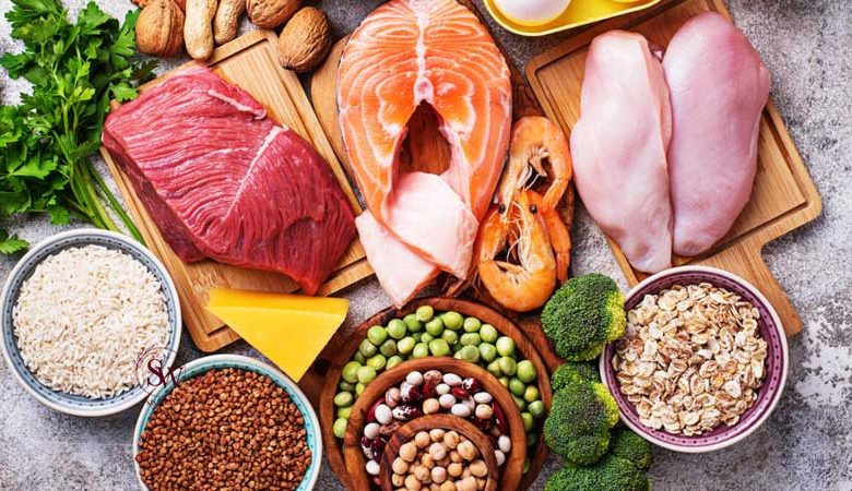 What is a Good High Protein Diet?